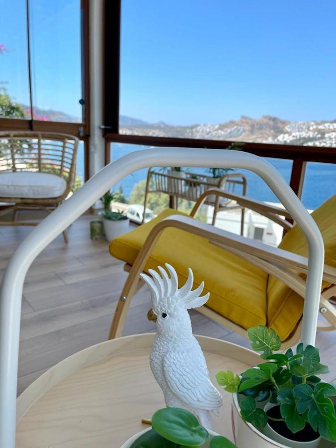 Daire Dream House Bodrum